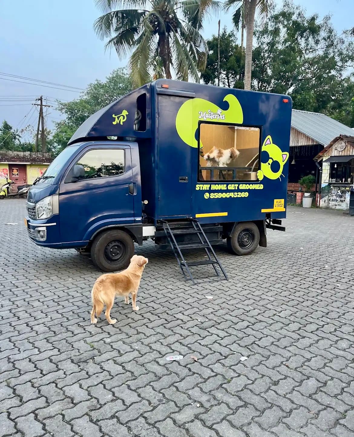 Masterpet mobile grooming van with happy dog - professional at-home pet grooming service in Kochi